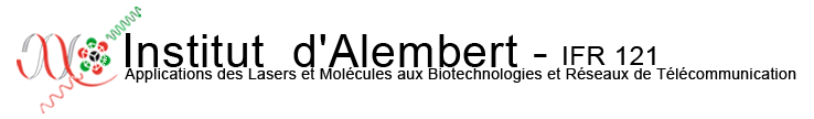 Institut d'Alembert - IFR121